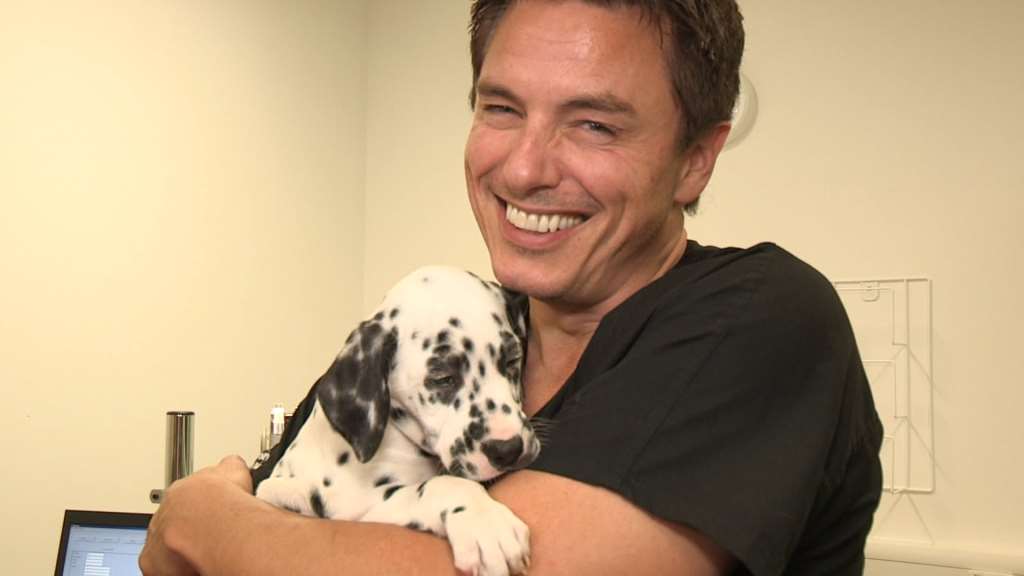 Top 115+ Animal hospital tv show